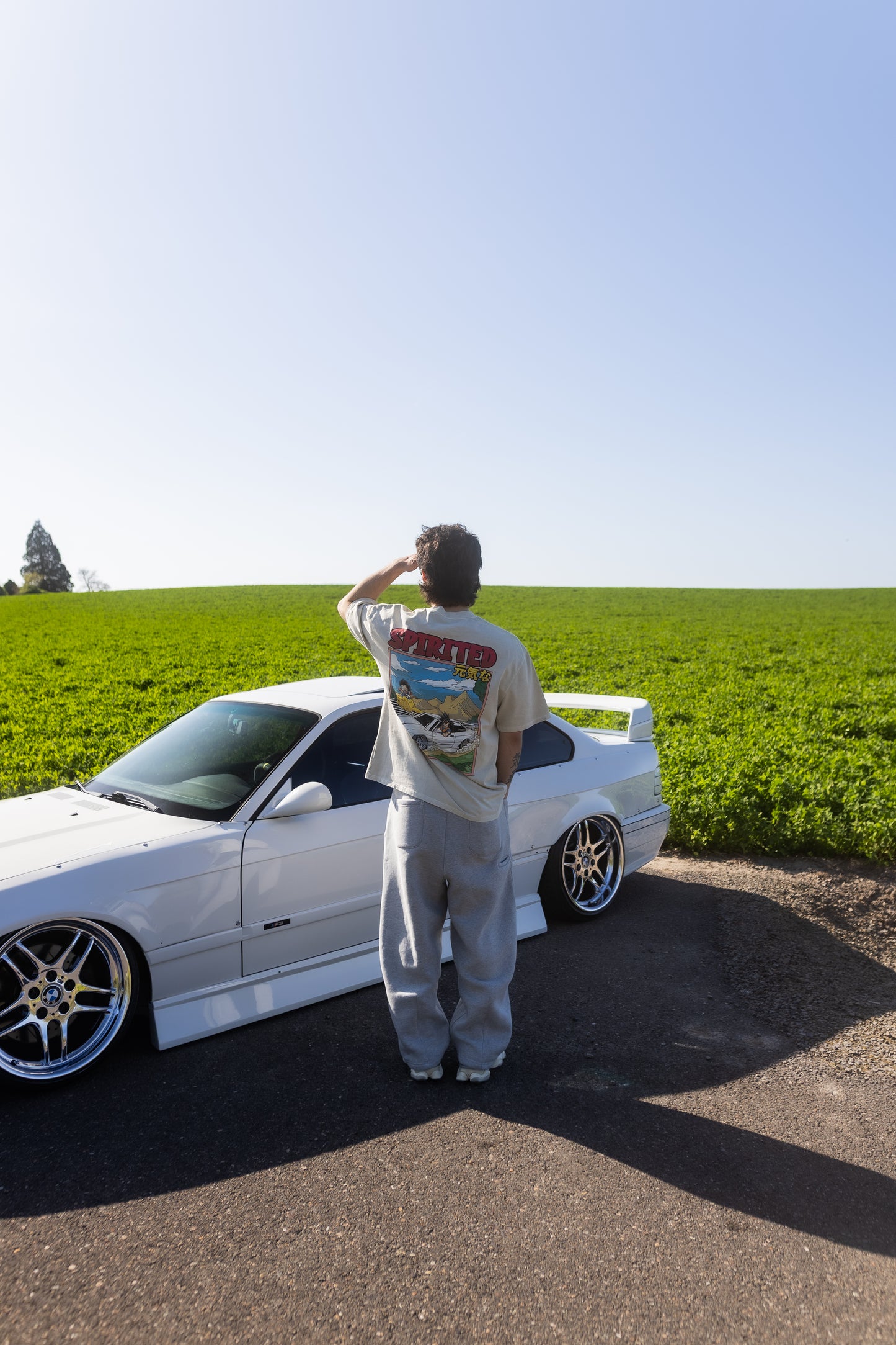 DRAGON BALL SPIRITED Heavyweight Vintage Washed T-Shirt