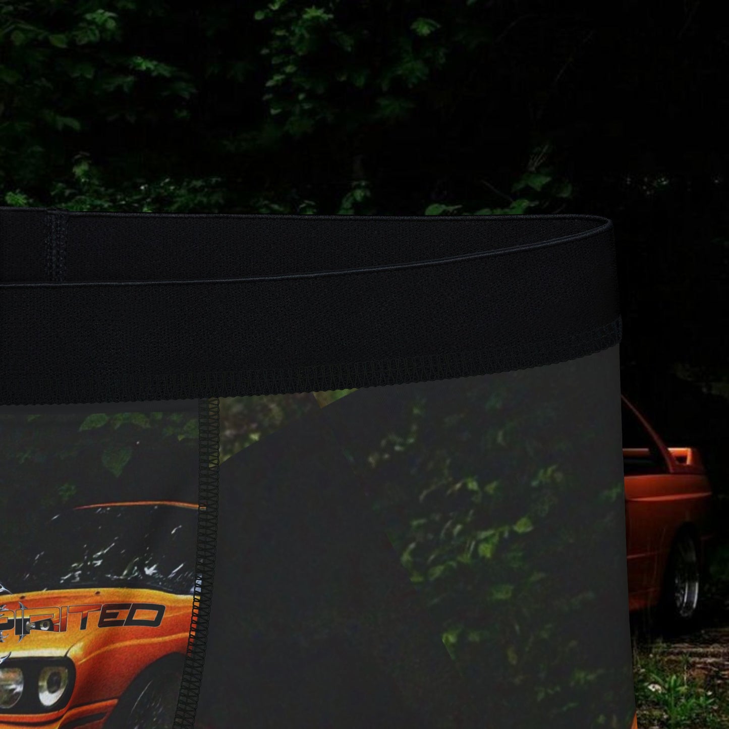 BMW E30 M3 Boxer Briefs